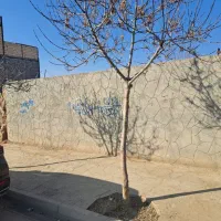 ۴۵۰متر ویلایی کلاکوب معاوضه با خودرو|فروش خانه و ویلا|مشهد, کلاکوب|دیوار