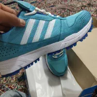 ۱۲۰۰۰۰۰تومان|کیف، کفش، کمربند|قم, قلعه کامکار|دیوار