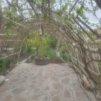 اجاره باغ ویلا|اجارهٔ کوتاهمدت ویلا و باغ|فردو, |دیوار