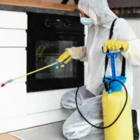 سمپاشی/تمام خوزستان/سم پاشی/ساس سوسک موش موریانه|خدمات نظافت|اهواز, پادادشهر|دیوار