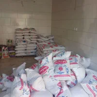 برنج عنبر درجه یک یک ونیمدانه فقط کیلویی ۱۴۵|خوردنی و آشامیدنی|اصفهان, رزمندگان|دیوار