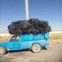 تیپ قطره ای
