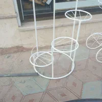 استند گل|گل و گیاه طبیعی|تهران, دانشگاه شریف|دیوار