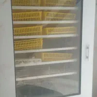 فروش دستگاه جوجه کشی