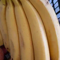 میوه فروشی برکت|خوردنی و آشامیدنی|فولادشهر, مسکن مهر فولادشهر|دیوار