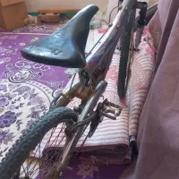شادگان