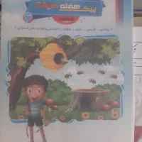 کتاب ششم هفتم هشتم|فعالیت داوطلبانه|قم, صفاشهر|دیوار