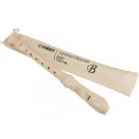 فلوت ریکوردر