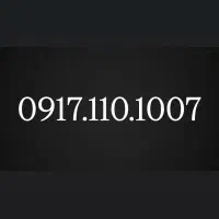 0917.110.1007