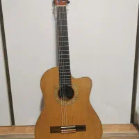 گیتار حرفه ای تاگیما