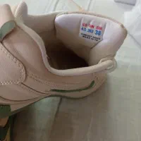 کیف و کفش|کیف، کفش، کمربند|ارومیه, |دیوار