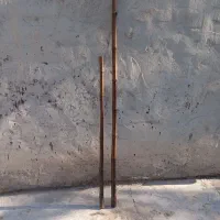 خزران|گل و گیاه طبیعی|شادگان, |دیوار