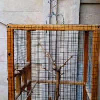 قفس طوطی سانان و پرنده