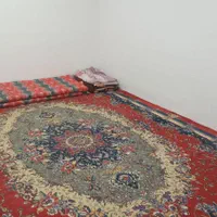 اجاری سویت تک خاب کنارساحل روزانه|اجارهٔ کوتاه‌مدت آپارتمان و سوئیت|بندر گناوه, |دیوار