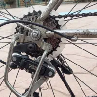 دوچرخه ۲۶ دماوند مدل آساک|دوچرخه، اسکیت، اسکوتر|تهران, راه آهن|دیوار