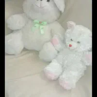 عروسکای  خرسی