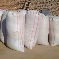 22 شلیف کا کاموا