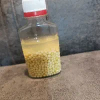 تخم حلزون و حلزون سوپر مولد