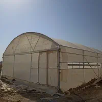 فروش گلخانه خانگی 300متری کاشته شده سوران هست|فروش دفتر صنعتی، کشاورزی، تجاری|سیب و سوران, |دیوار