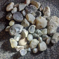 سنگ شجر|کلکسیون اشیاء عتیقه|زنجان, |دیوار