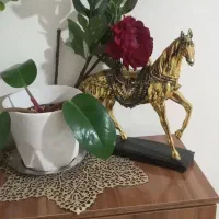 اسب ،یه شاخه گل وگلدون طبیعی  همش ۲۲۰ تومن