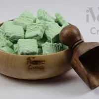 فروش عمده بستنی خشک