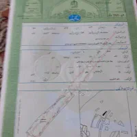 فروش بک هکتار باغ انگور سه ساله|فروش دفتر صنعتی، کشاورزی، تجاری|اسفرورین, |دیوار