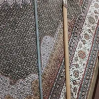 بیل و تی سالم