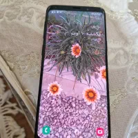 گوشی سامسونگ s9|موبایل|تهران, چیتگر جنوبی|دیوار