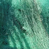 تور شیری ۲۴ و ۲۶ پان