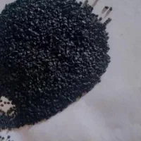 بذر پیاز ریو براوو|خدمات باغبانی و درختکاری|میناب, |دیوار