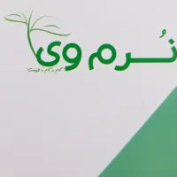 همکار خانم و آقا شرکت نرم وی