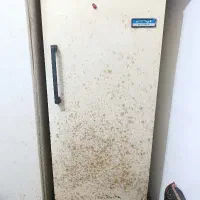 فریزر ارج|یخچال و فریزر|بندر انزلی, گلشن|دیوار