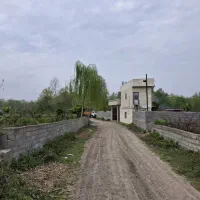 زمین-150متری-پلاک-یک-جنگل-با-جواز-ساخت