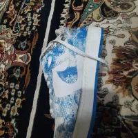 کفش نایک دراگون|کیف، کفش، کمربند|قیدار, |دیوار