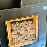 لوستر|لوستر و چراغ آویز|زاهدان, |دیوار