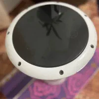 داربوکا پژواک