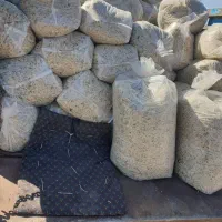 تفاله چغندر میاندواب