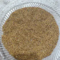 بذر یونجه|خدمات باغبانی و درختکاری|بوشهر, |دیوار