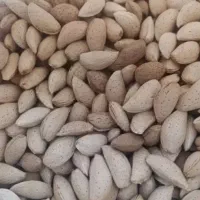 بادام
