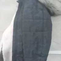 کاپشن مردانه کلاه دار داخل خز درحد نو|لباس|ماهدشت, |دیوار