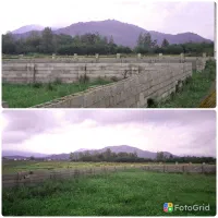 زمین-مسکونی-با-ویو-کوه-و-شالیزار