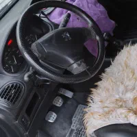 ماشین|خودرو سواری و وانت|زاهدان, |دیوار