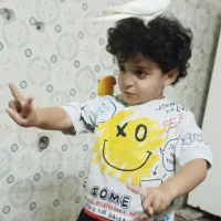 پرنده طوطی برزیلی