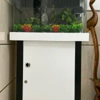 آکواریوم در ابعاد ۴۰ در ۶۰