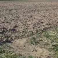 زمین در خسرواباد