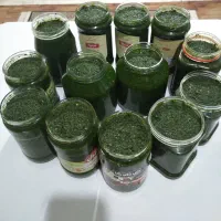 دلال ماست موسیر