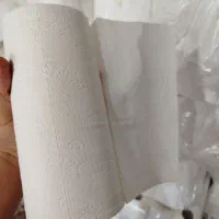 دستمال کاغذی لوله ای فله ای|مواد شوینده و دستمال کاغذی|کبودرآهنگ, |دیوار