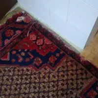 فرش6|فرش|جوانرود, |دیوار