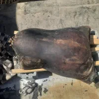 دوغ ترخینه
